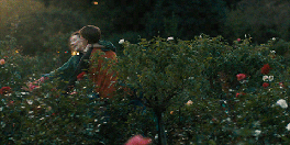 Lady Bird