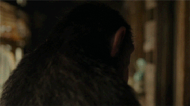 War for The Planet of the Apes