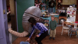 armadillo